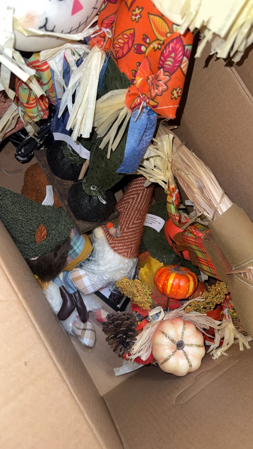 Gnomes - photo 2