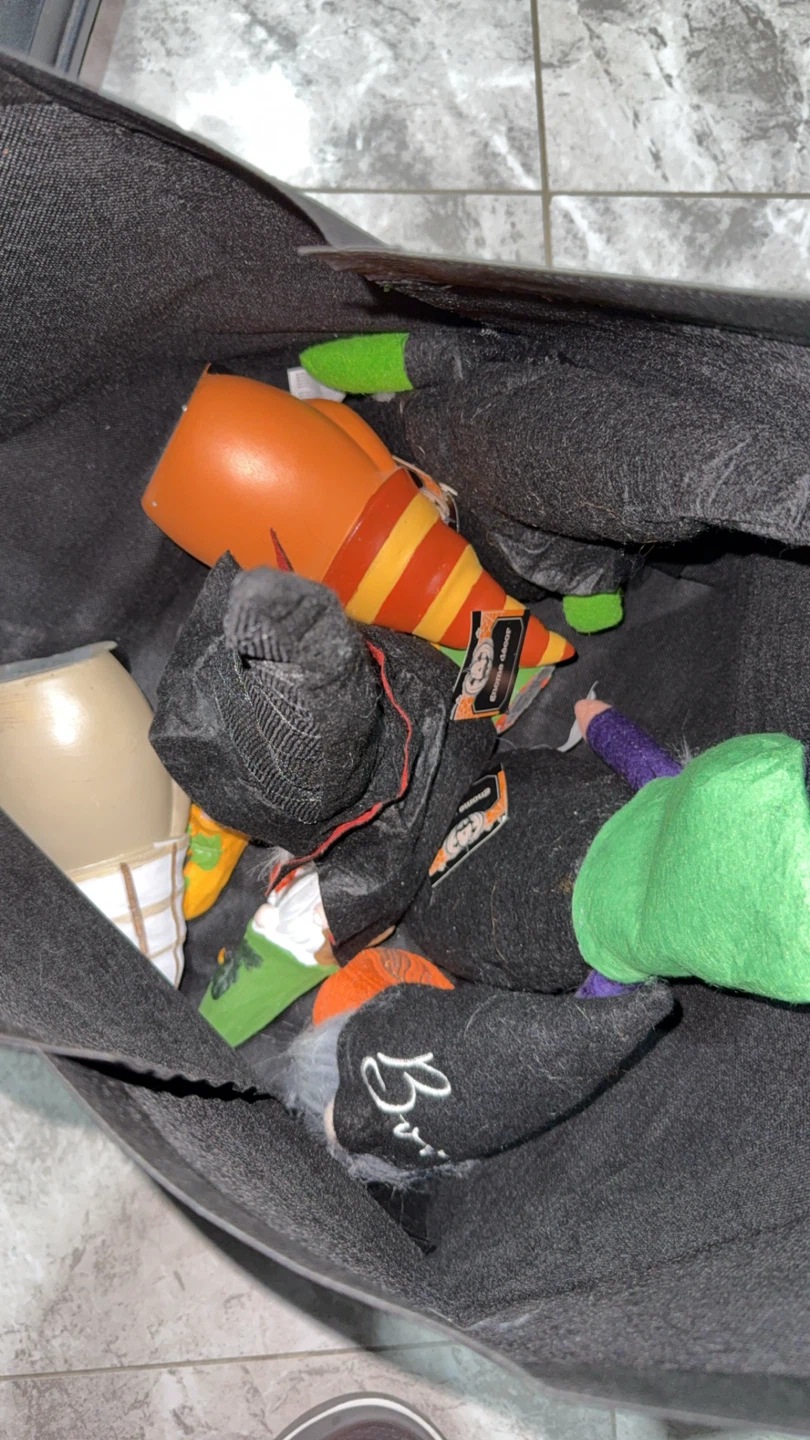Gnomes - photo 5