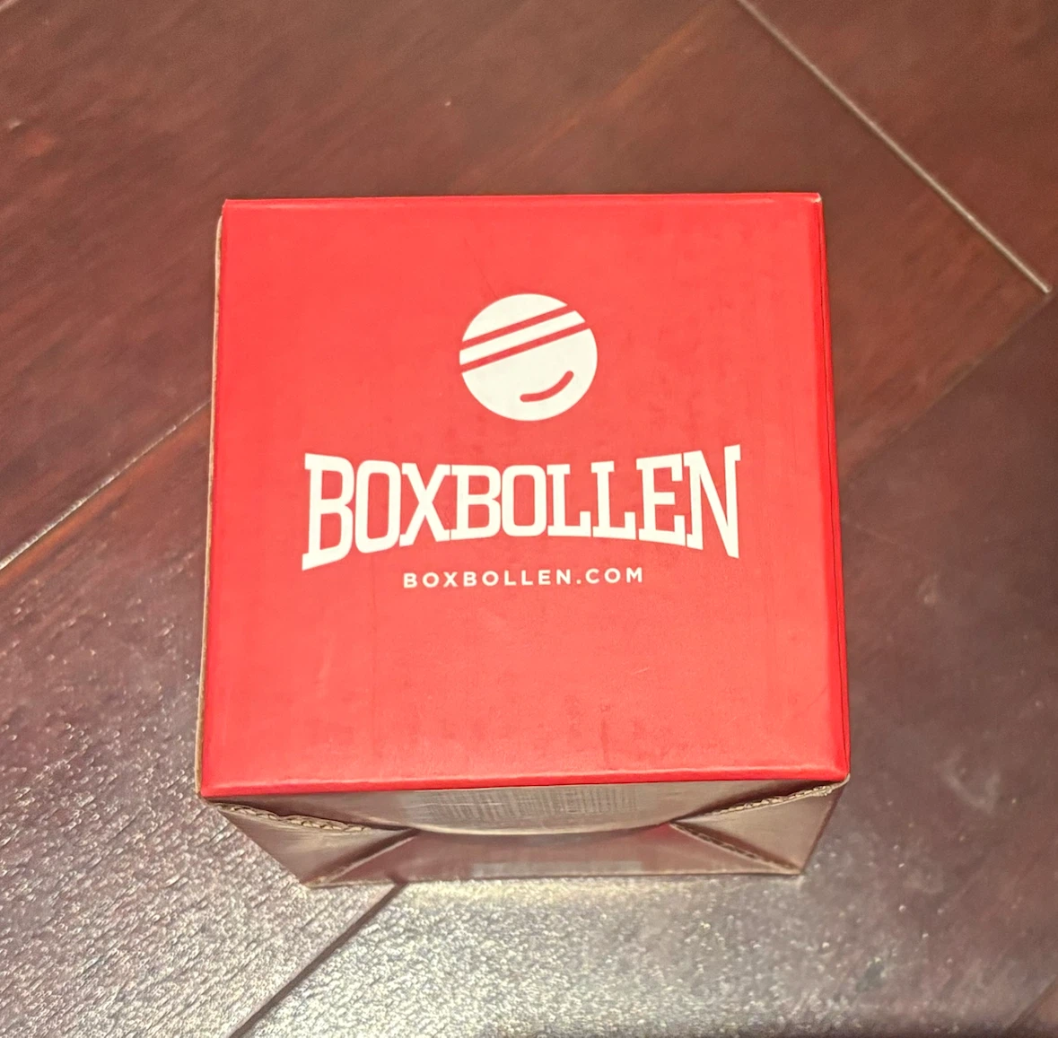 Boxbollen Boxing Reflex Ball (6 available)