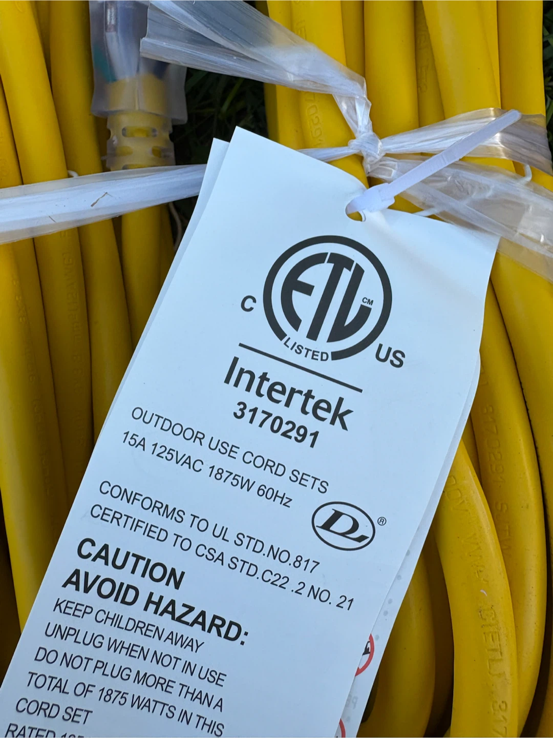 Extension Cord - 100ft - photo 2