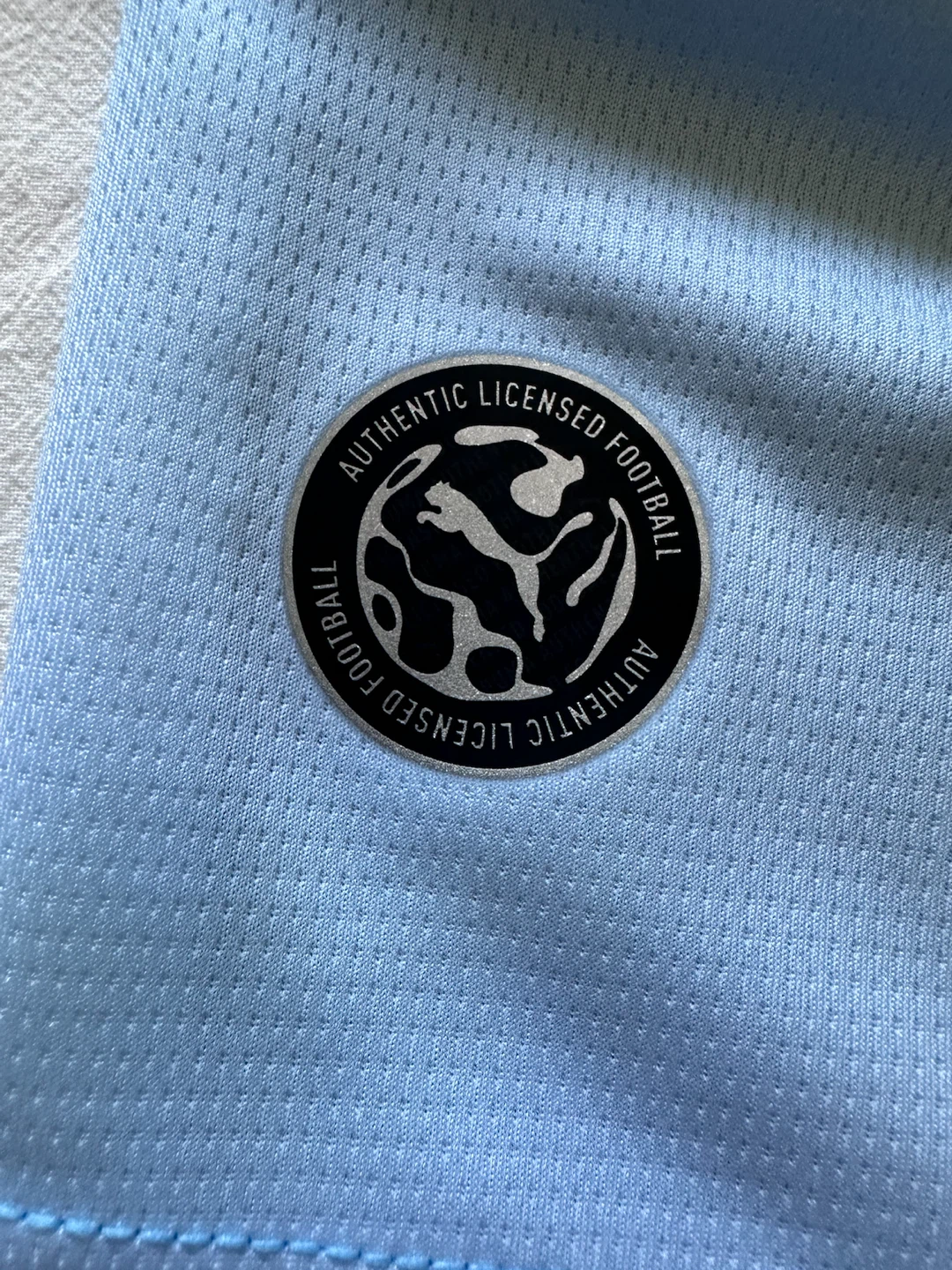 Puma Manchester City 2023/24 Home Authentic Jersey - photo 3