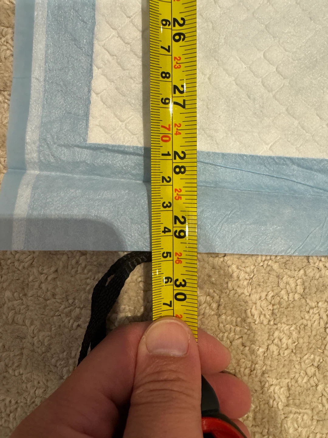 Pet Training Pads