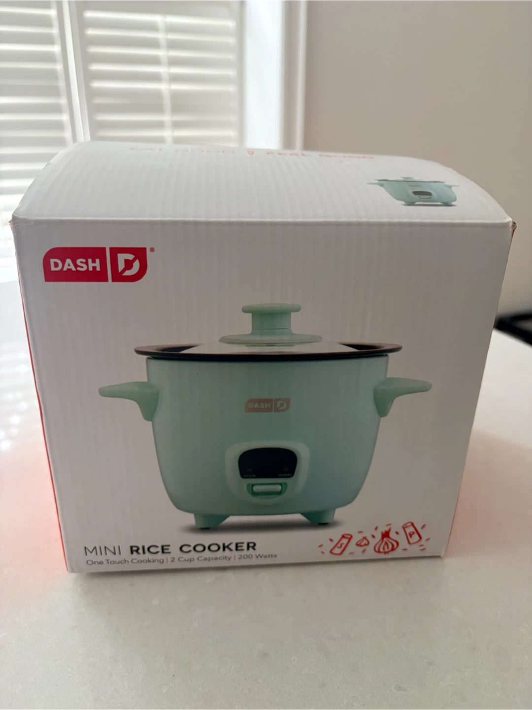 Dash Mini Rice Cooker - Mint Green New never used