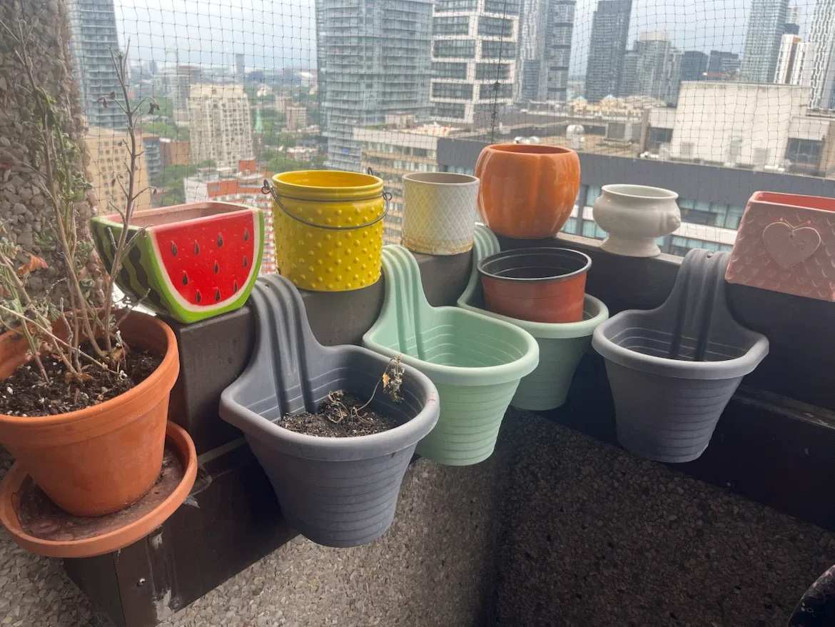 Assorted Planters