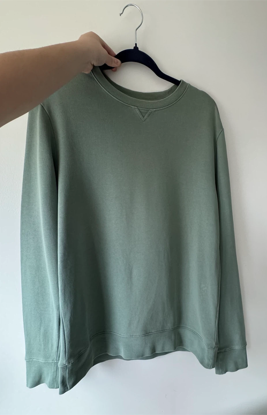 club monaco sage green sweatshirt
