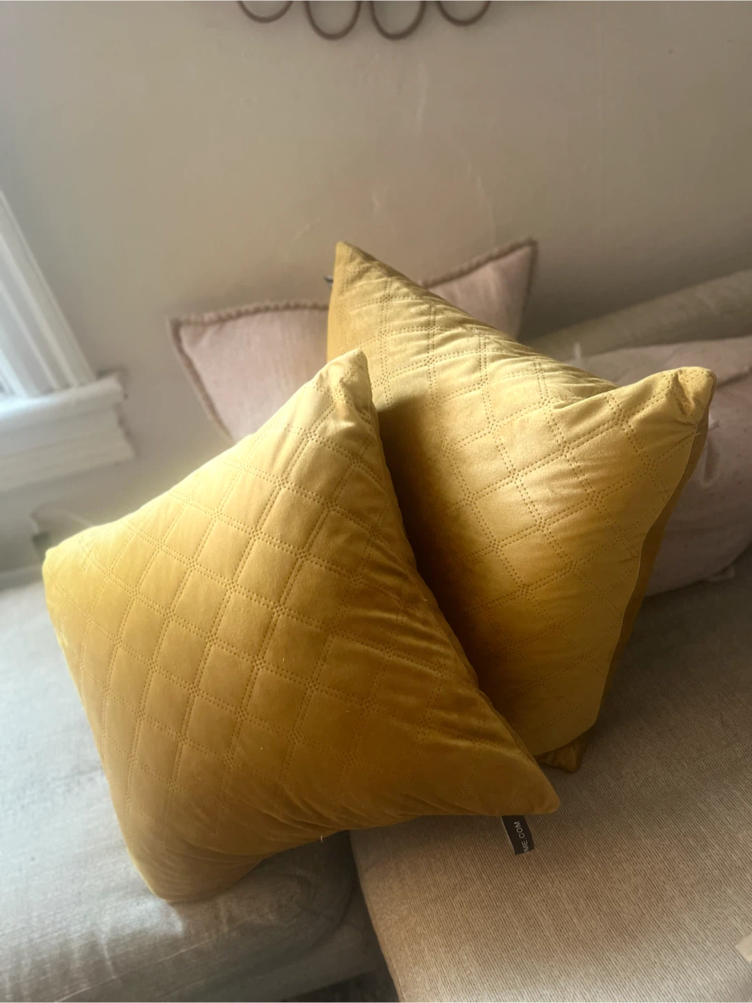 Decorative Pillows (Set of 2)