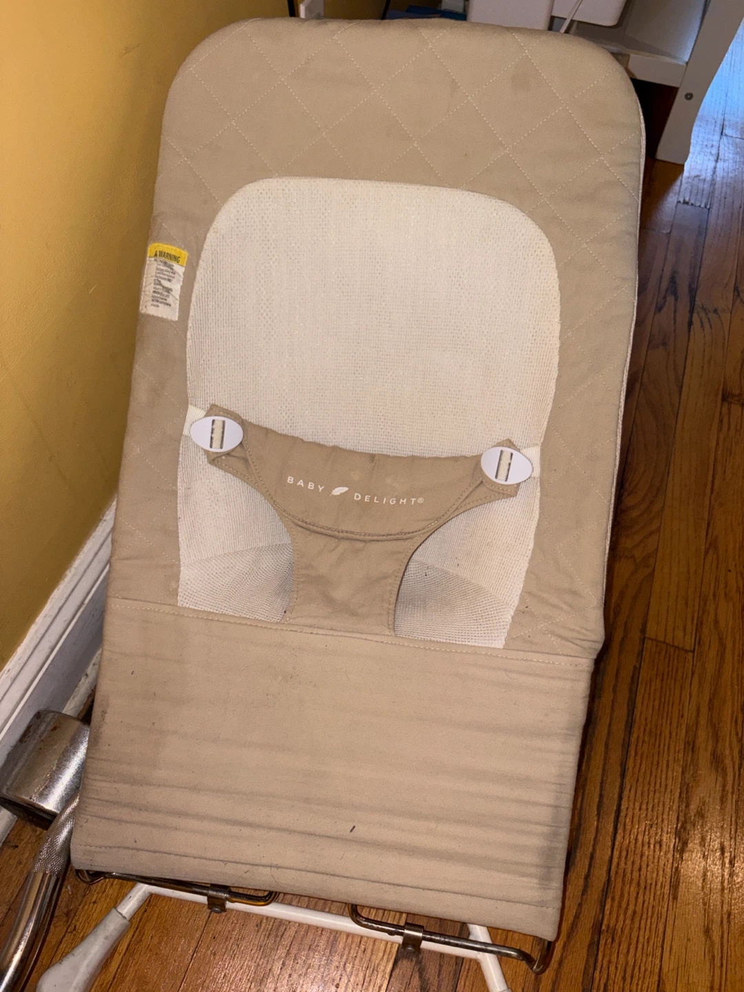 Baby Delight Baby Bouncer