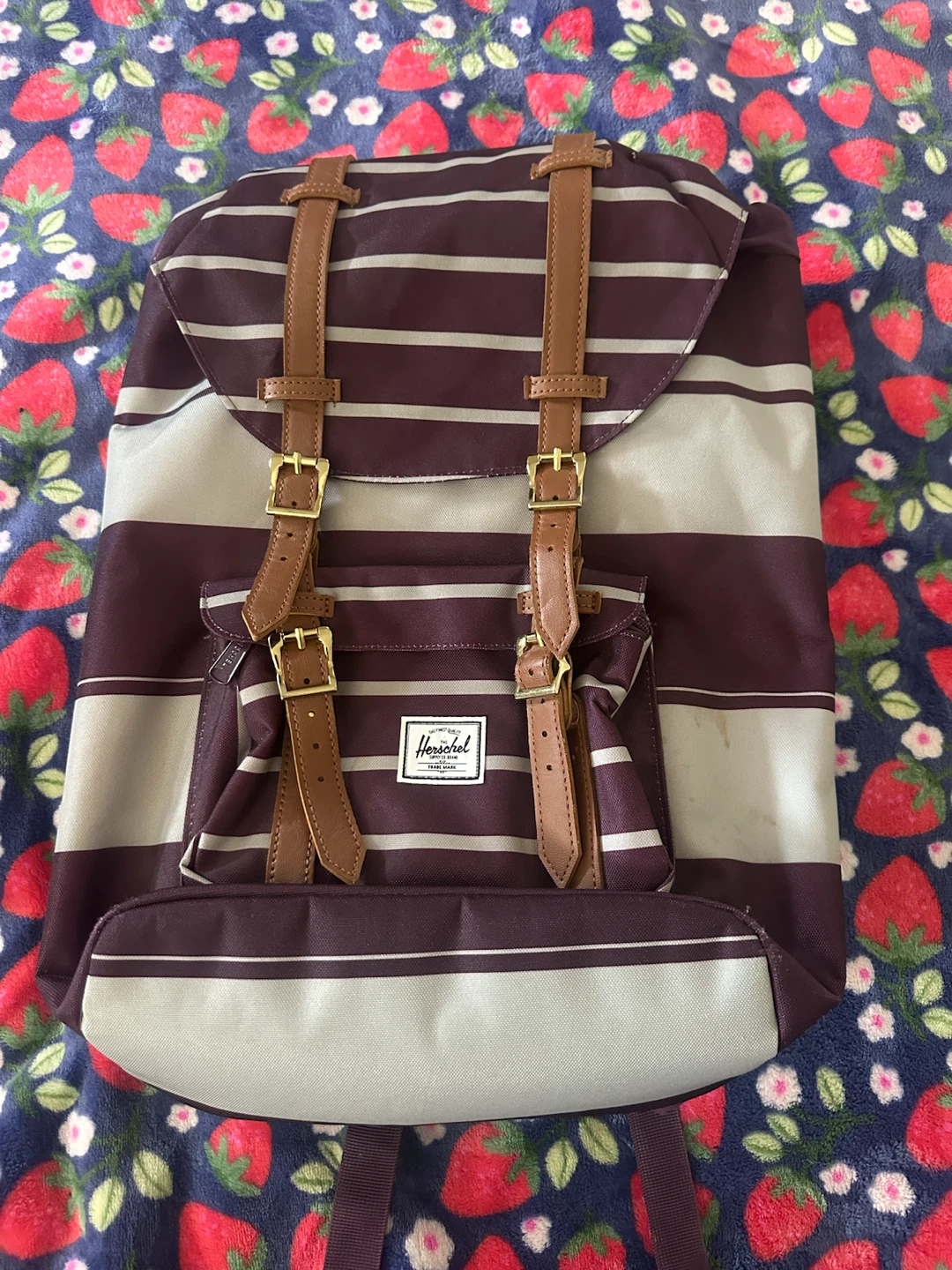 Herschel Backpack - Purple and Grey Stripes