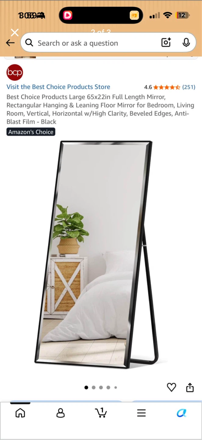 Mirror 65x22 full body mirror