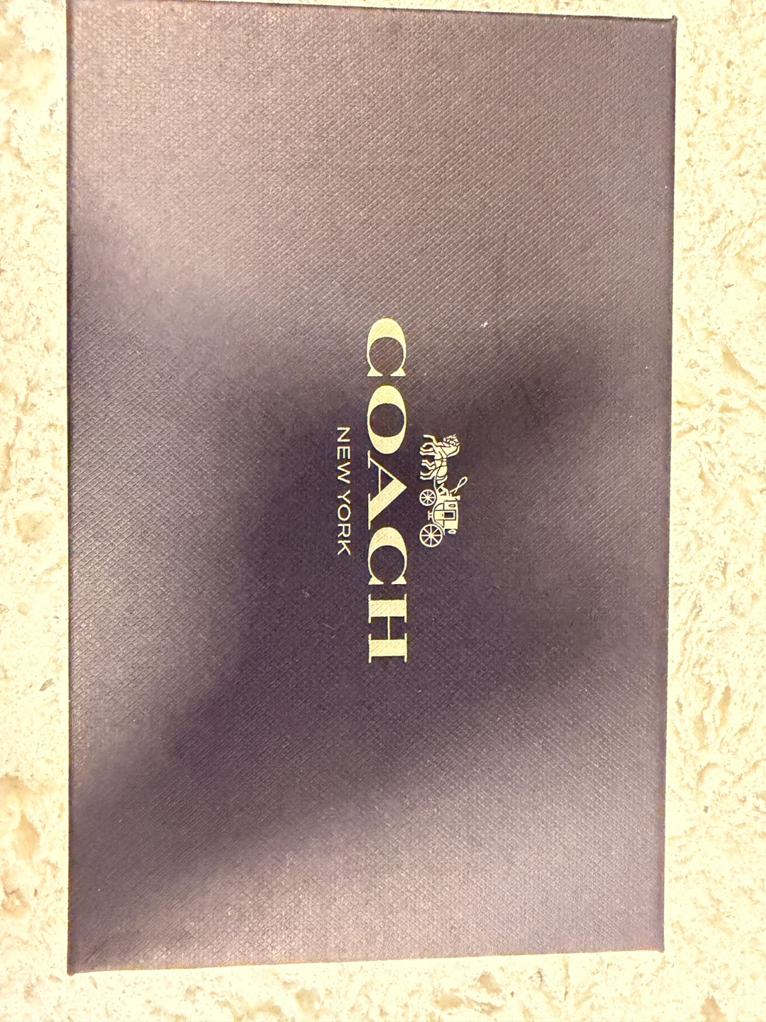 Coach Glitter Star Wristlet Pouch - photo 2