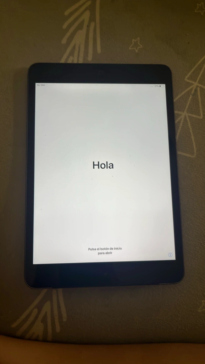 Apple iPad Mini - photo 4