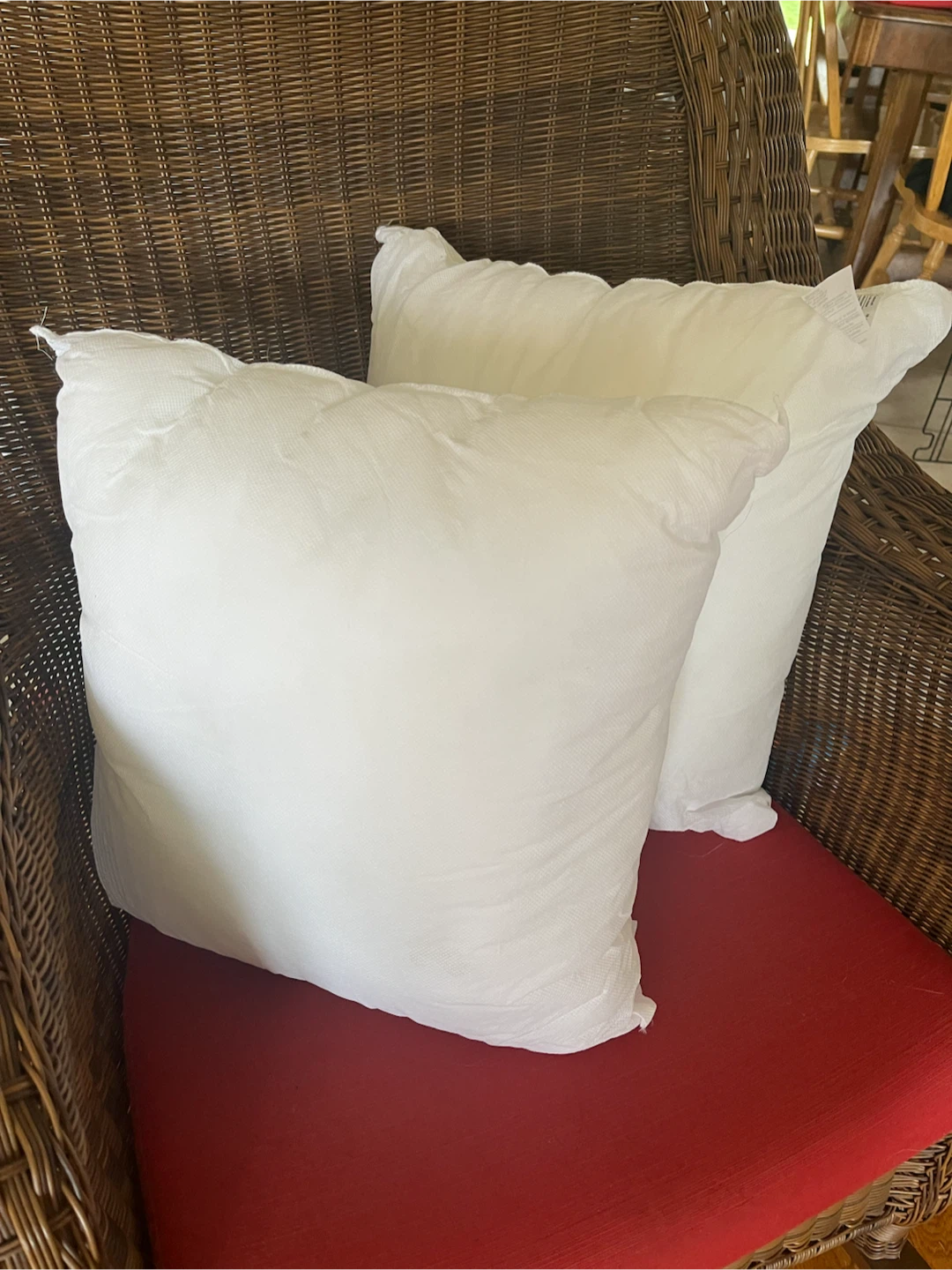 Two 18" x 18" White Throw Pillow Inserts