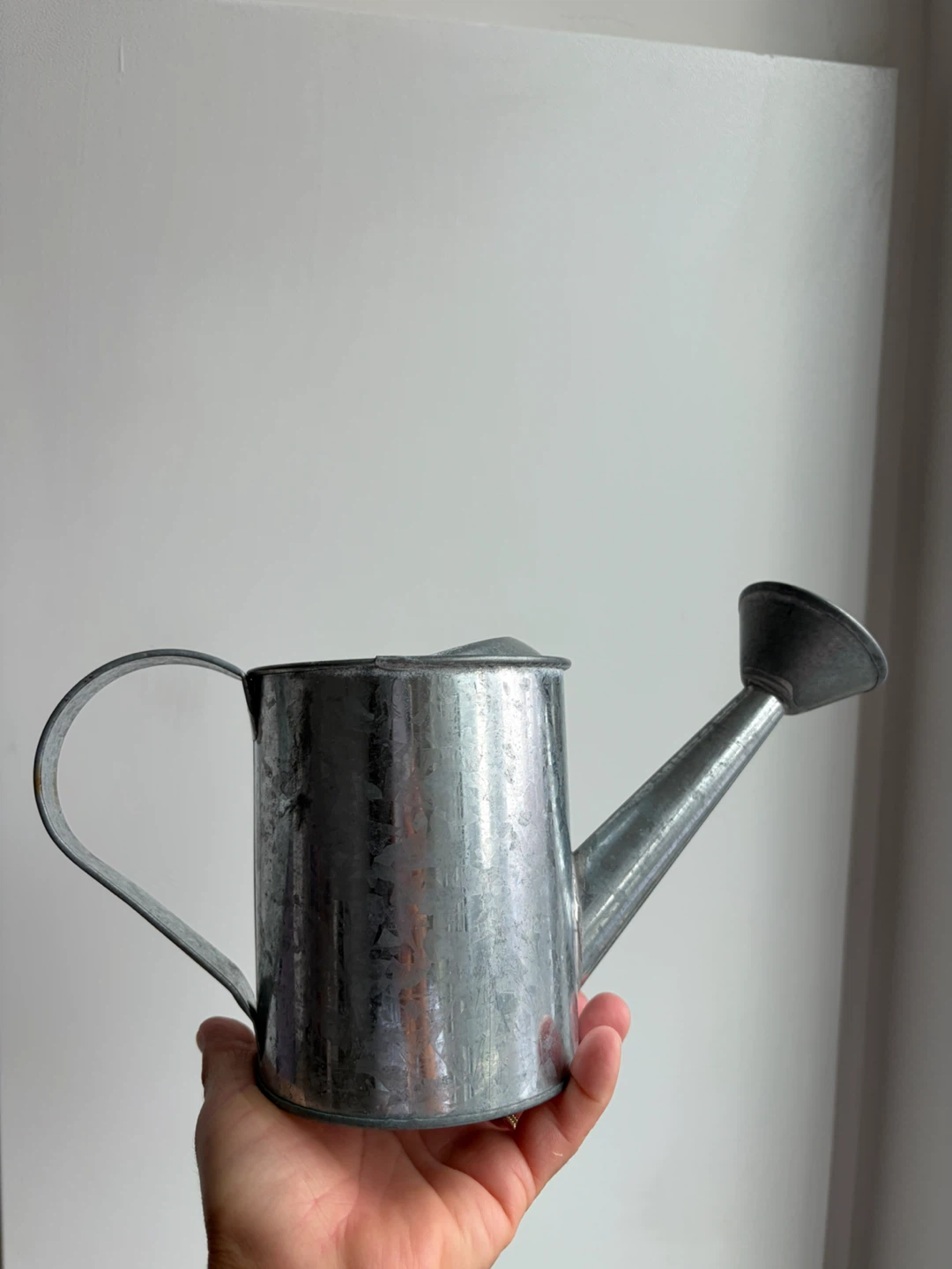 Galvanized Metal Watering Can