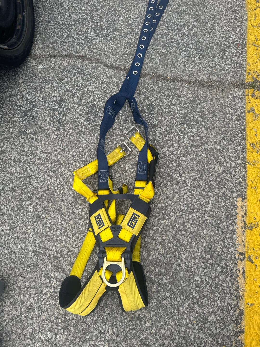 Fall Protection Harness