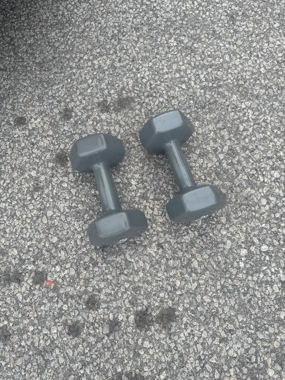 20lb Dumbbells (Pair)