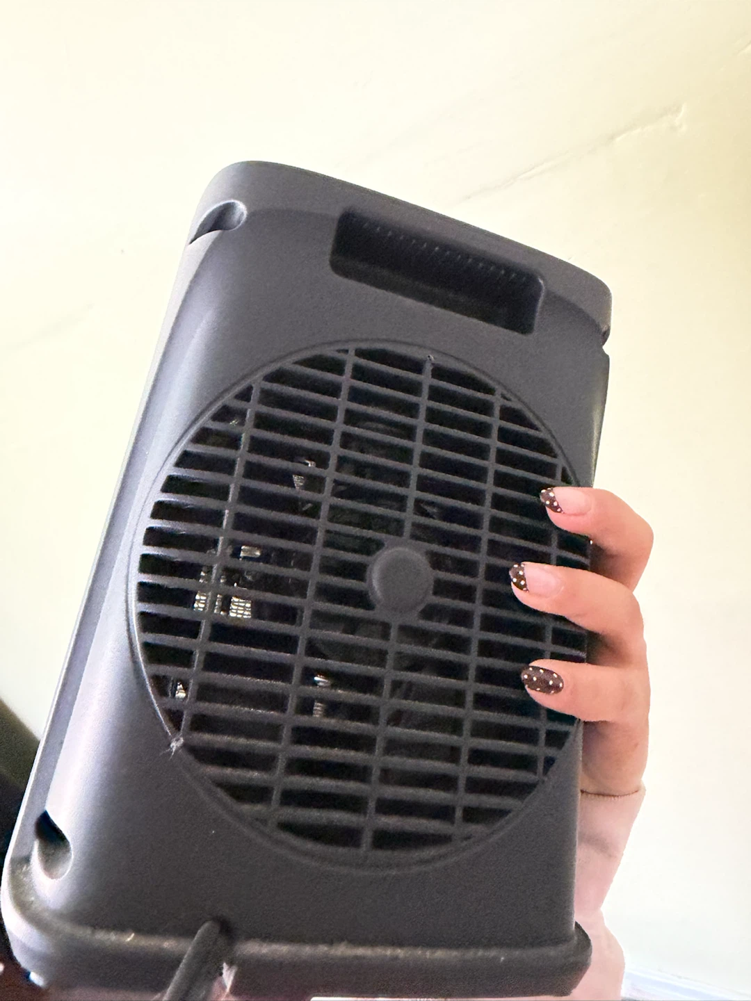 PTC Fan Heater