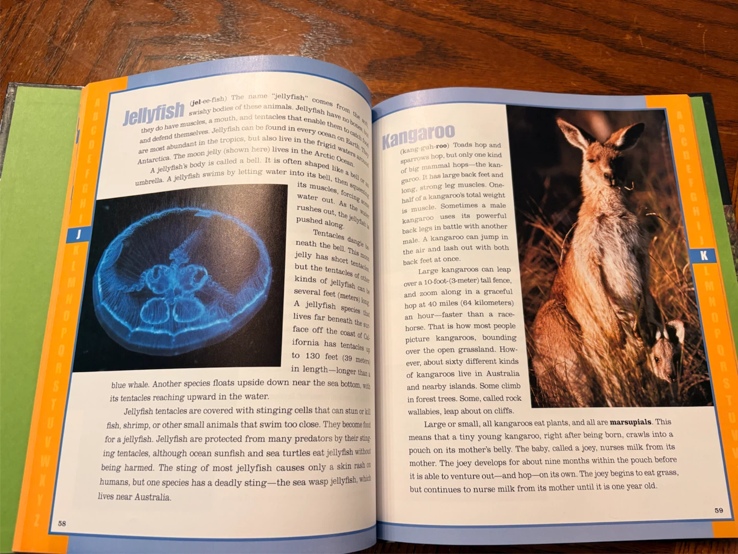 Animal books - photo 2