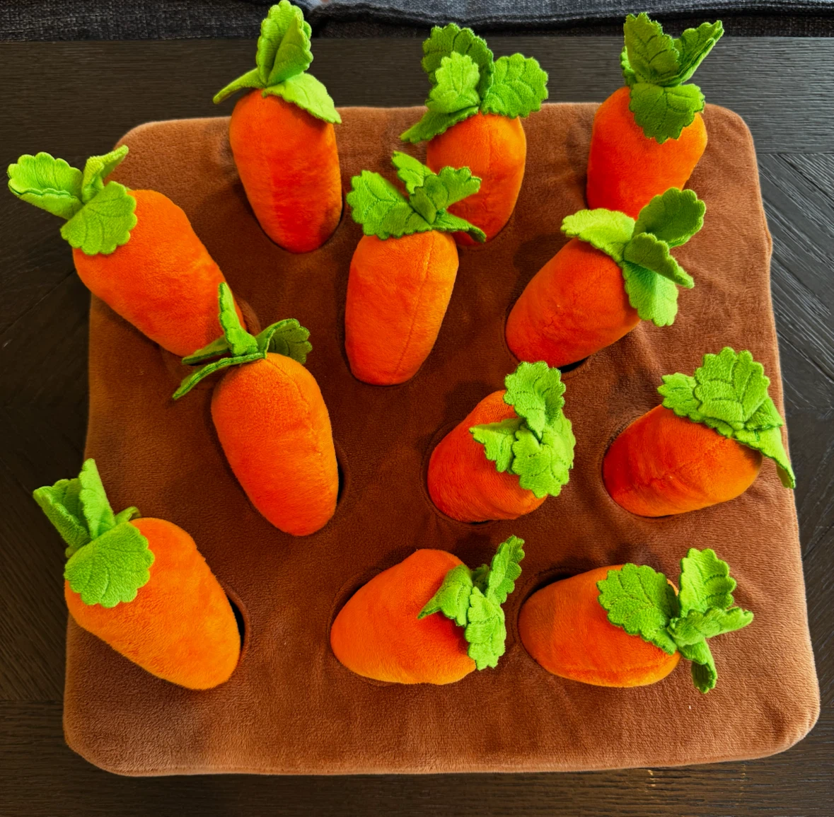 Montessori Plush Carrot Harvest Toy - photo 2