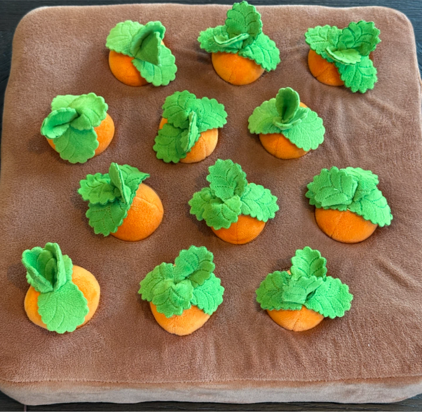 Montessori Plush Carrot Harvest Toy