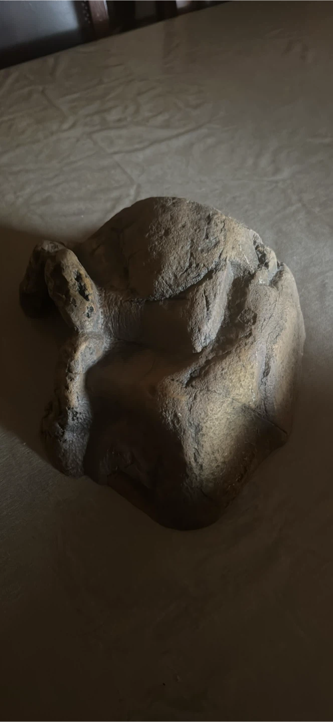 Reptile Hideout Rock - photo 3