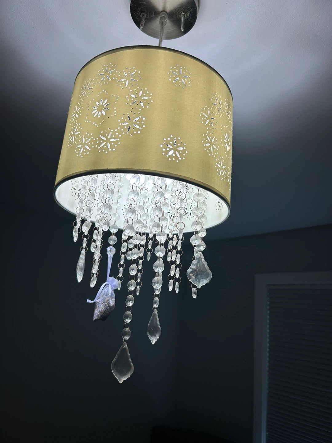 Ceiling Light Fixture