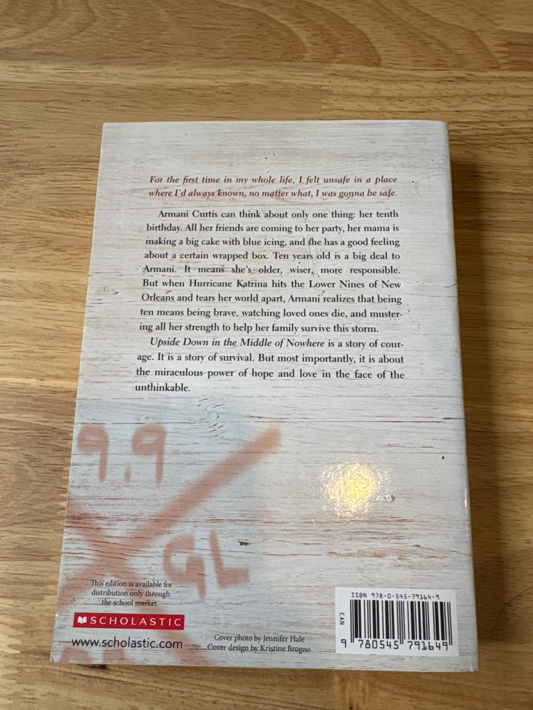 6 Middle-Grade Chapter Books – Adventure, Family & Friendship - photo 3