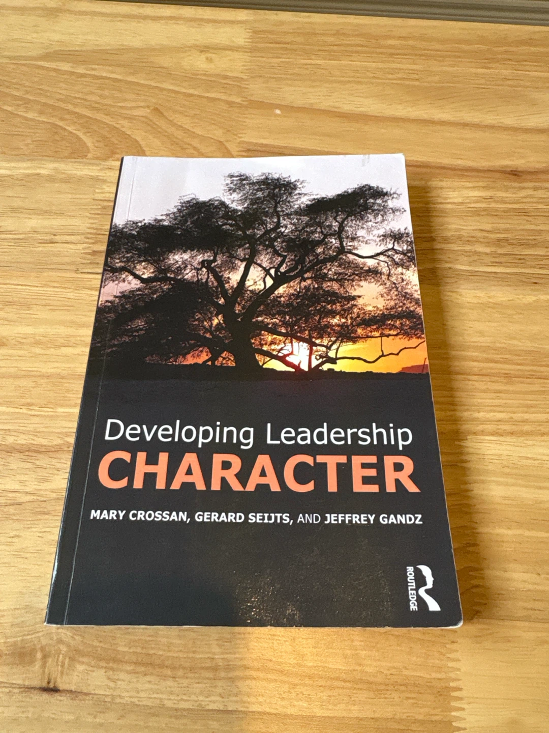 Developing Leadership Character – Business & Leadership Book