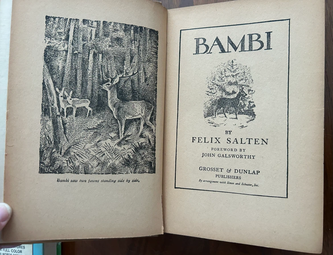 Vintage Children's Books - photo 4