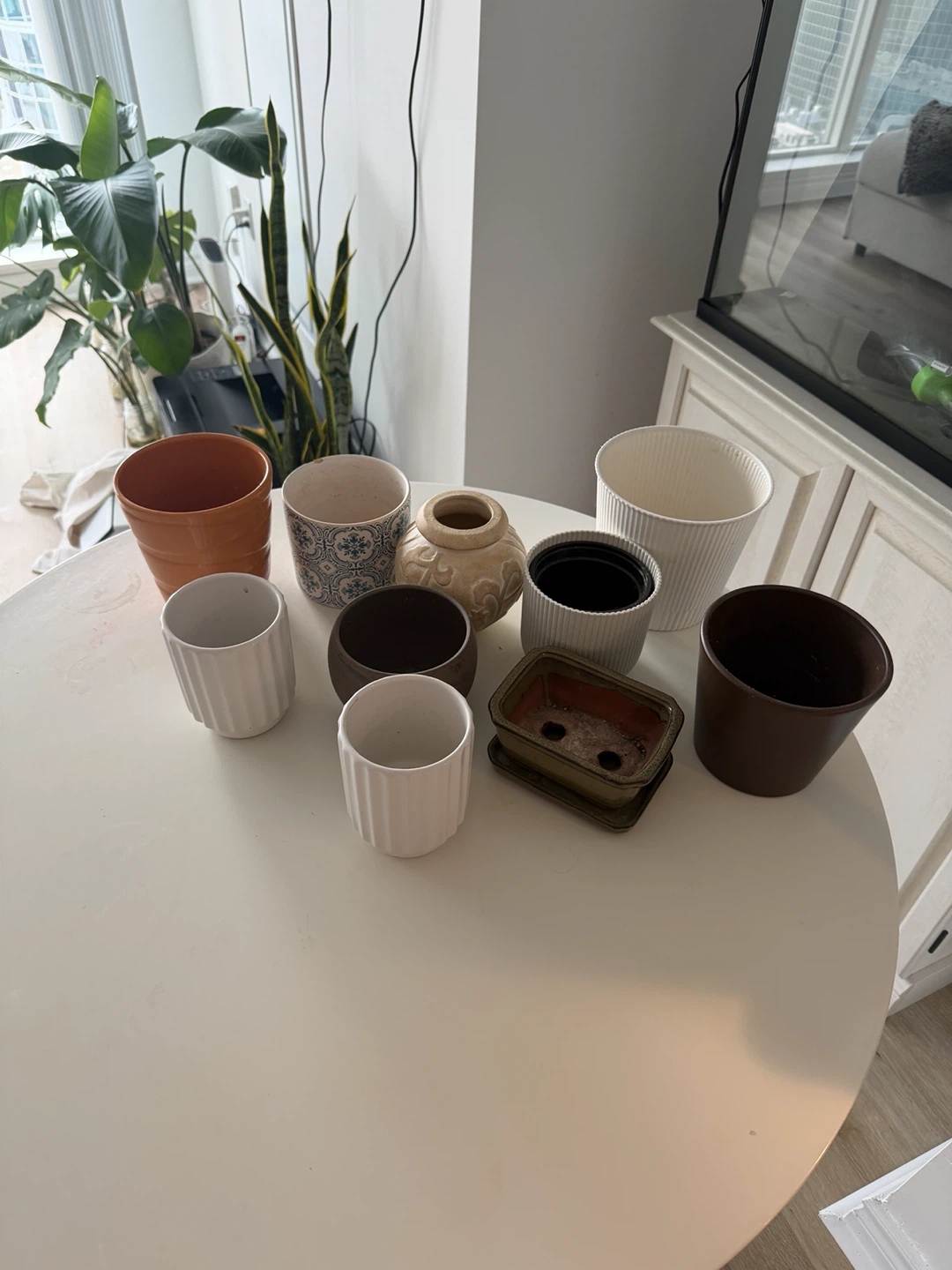 Assorted Plant Pots and Planters
