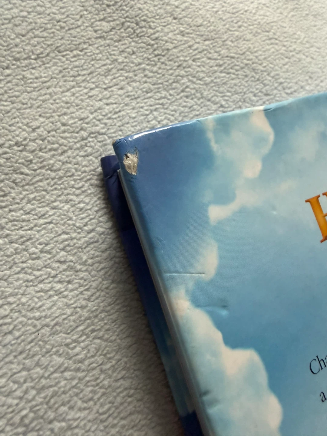 The Holy Mass: On Earth as It Is in Heaven Hardcover - photo 3