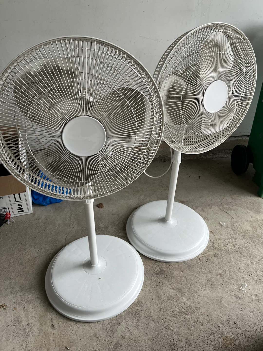 Fans