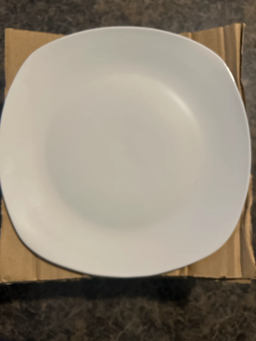 White Dinner Plates (Set of 8)