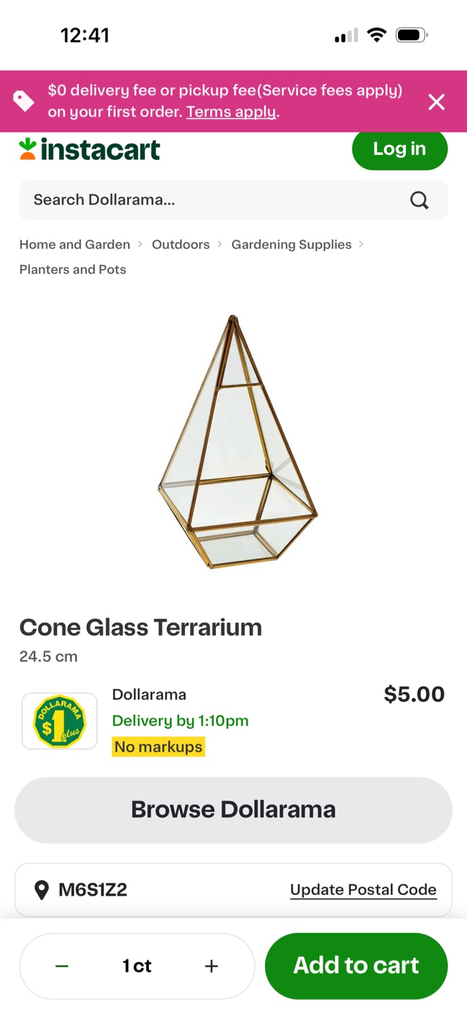 Cone Glass Terrarium Geometric Planter - photo 5