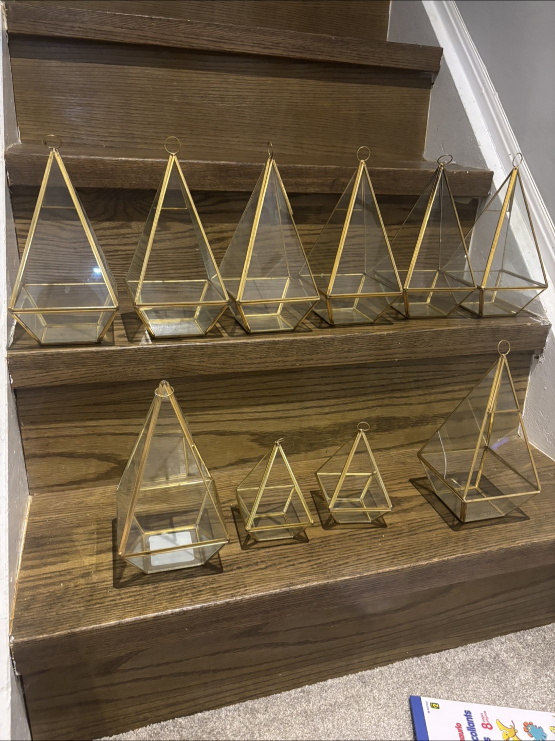 Cone Glass Terrarium Geometric Planter
