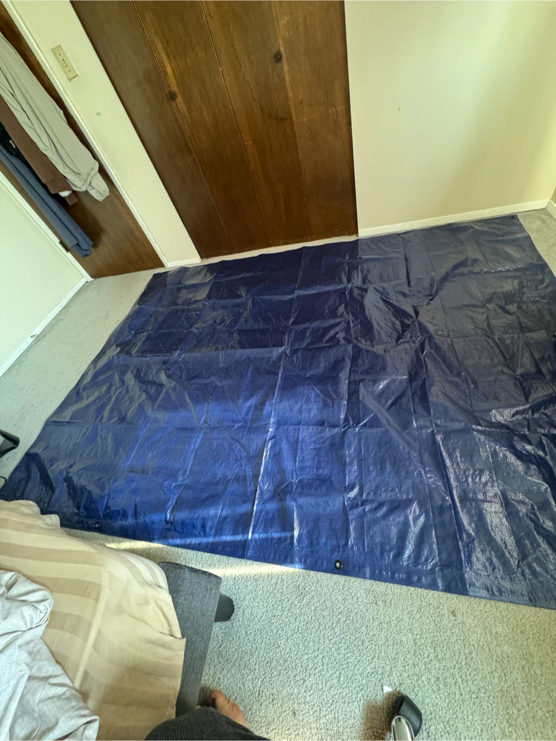 Blue Tarp 6x10