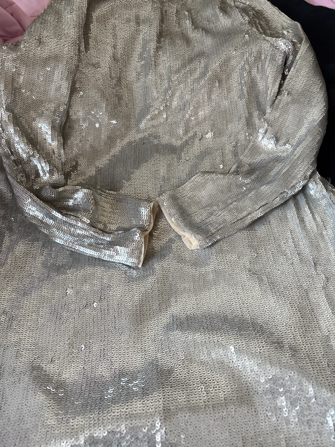 Zara Silver Sequin Long Sleeve Dress - photo 2