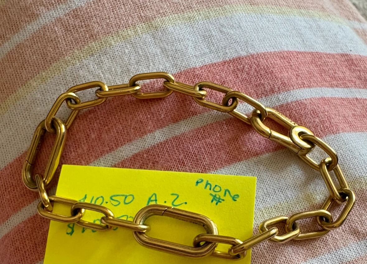 Pandora Chain Bracelet