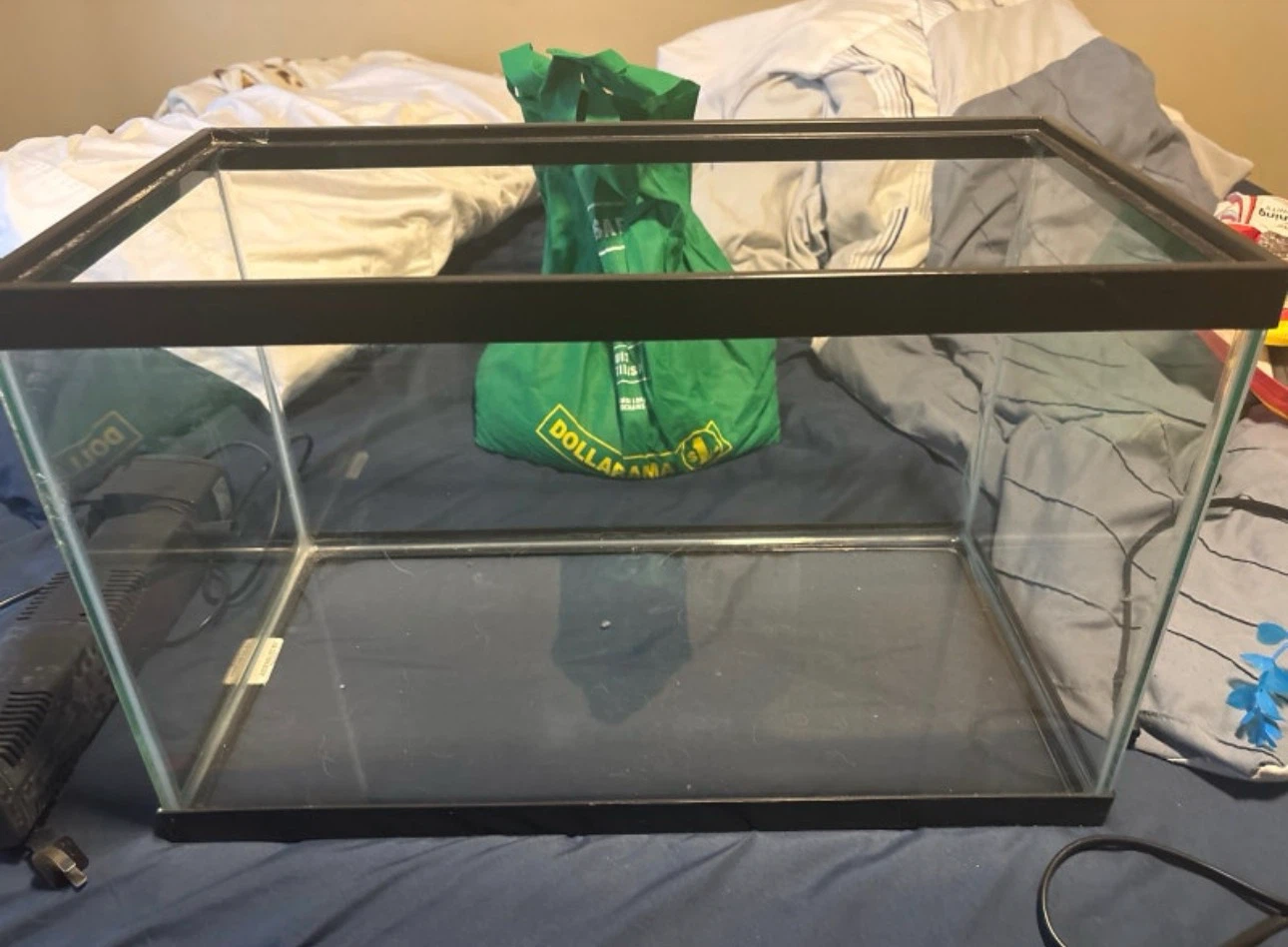 Aquarium tank with filter and rocks