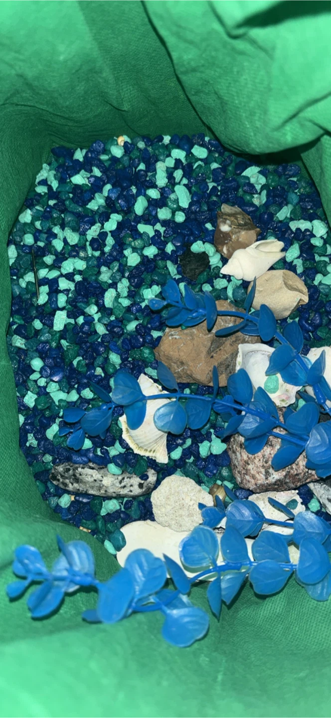 Aquarium tank with filter and rocks - photo 4