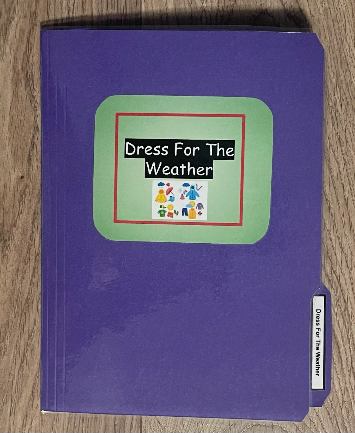 ‘Dress For The Weather’ File Folder Activity - photo 2
