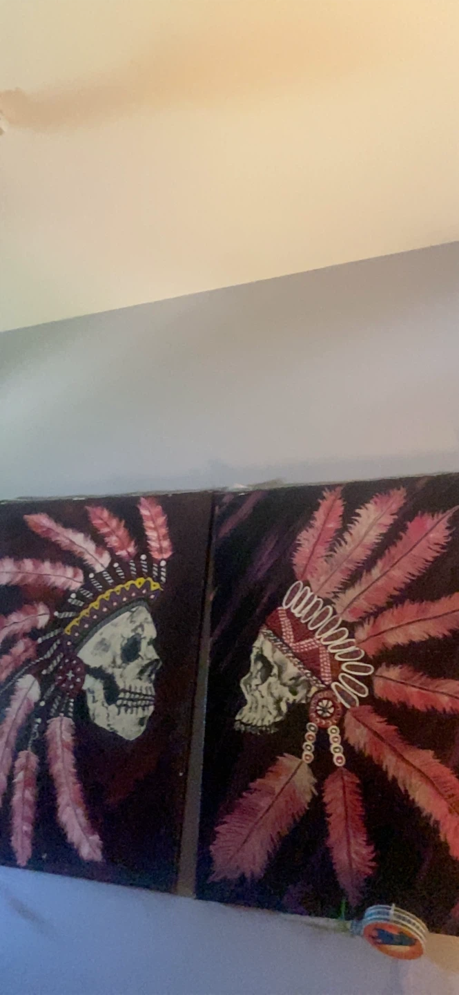 Pair of Skull Wall Art Paintings