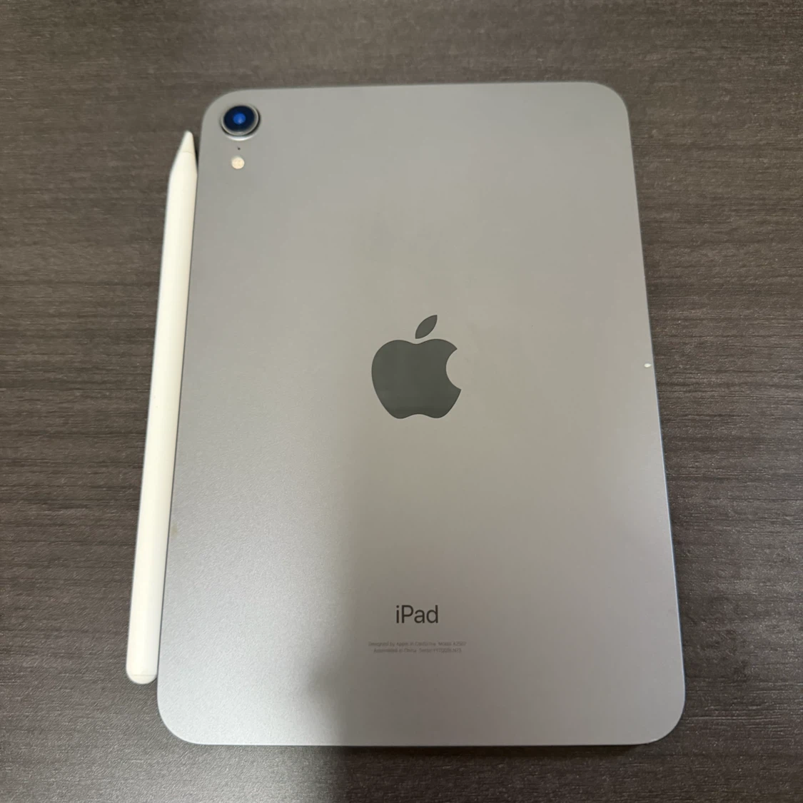 Apple iPad Mini 6th Gen. (64GB) & Apple Pencil