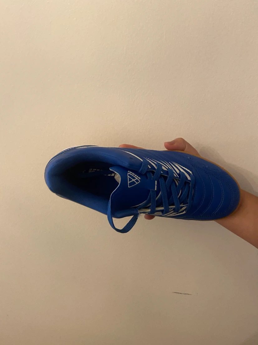 Royal Blue Indoor Soccer Shoes