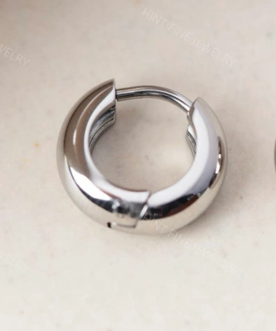 Silver Hoop Earrings (Unused)