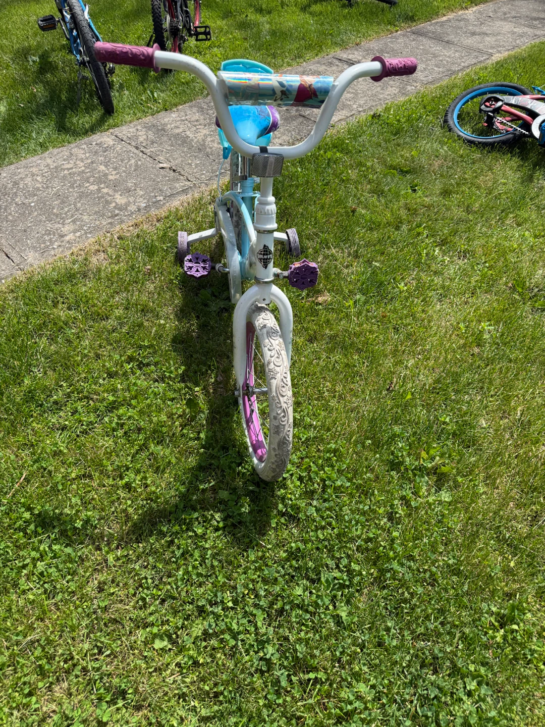 Frozen Kids Bike with Training Wheels