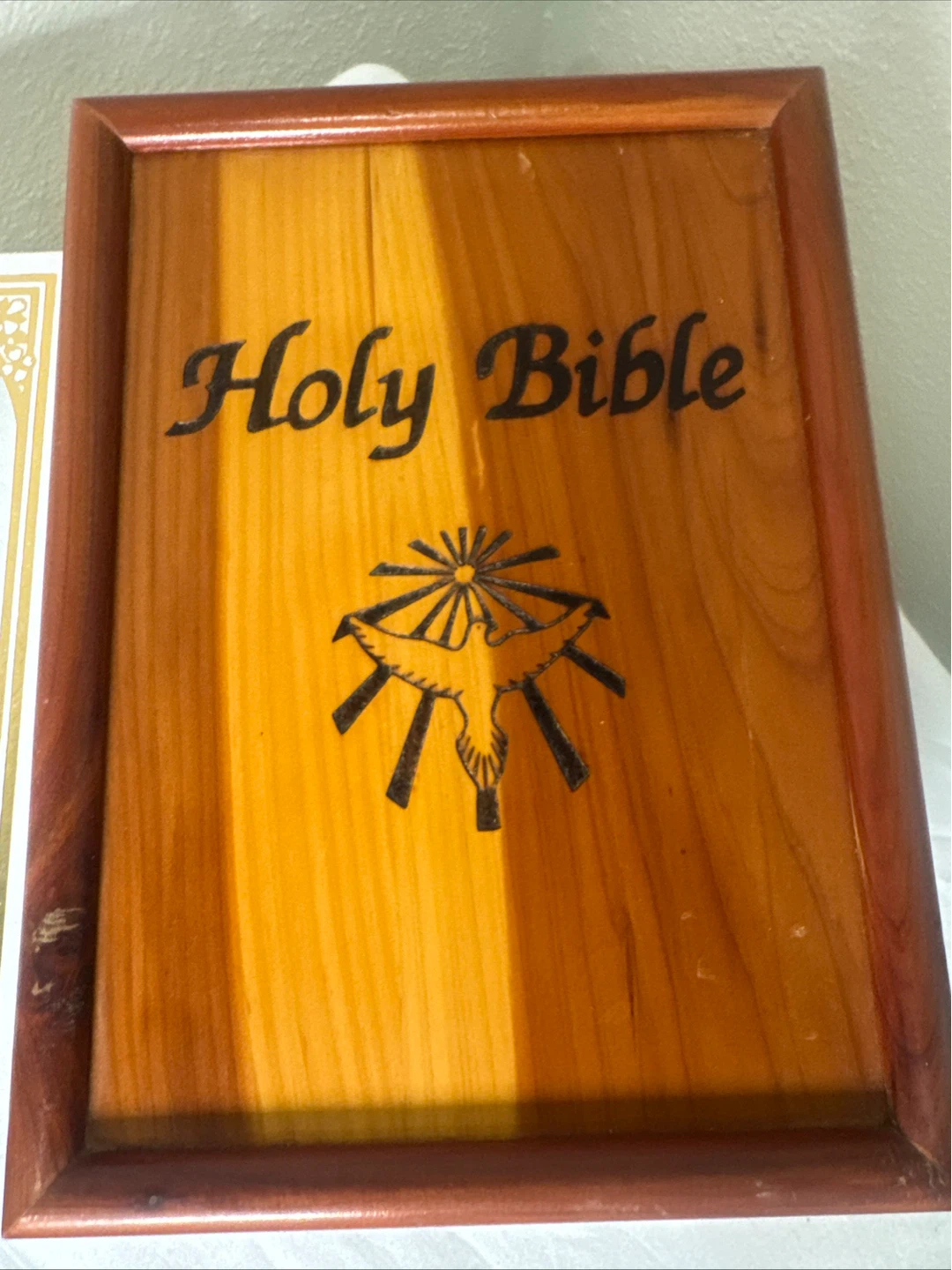 Holy Bible The Comfort Edition Catholic - photo 3