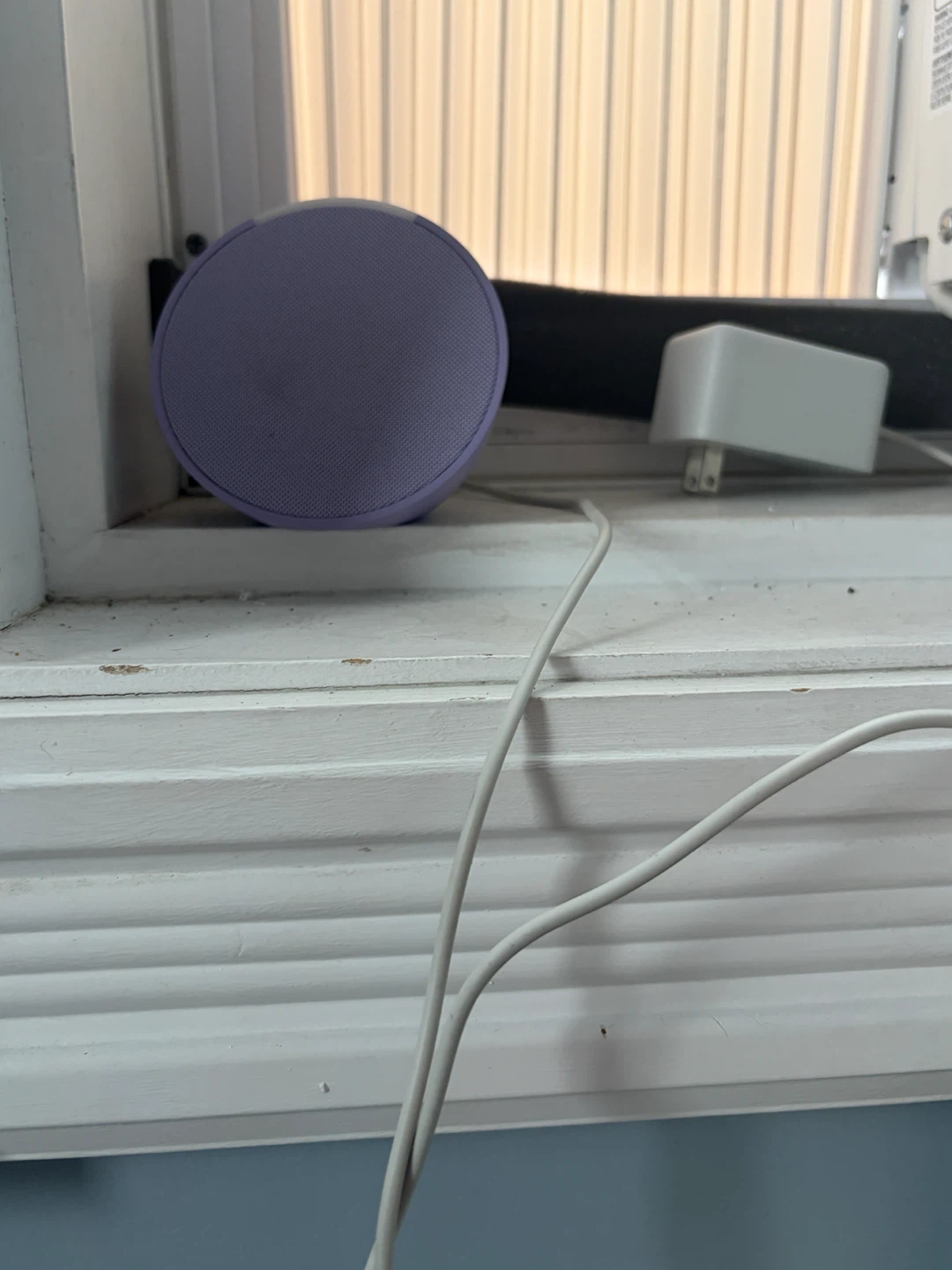 Amazon Echo Pop (newest model)