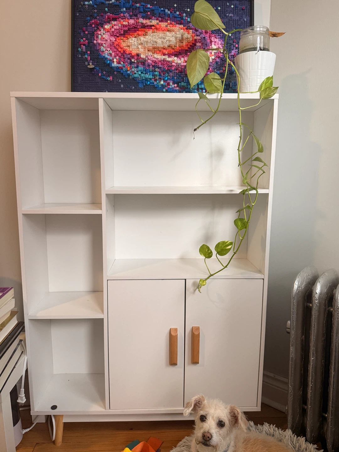 George Oliver Davinee Modern Bookcase Storage Cabinet