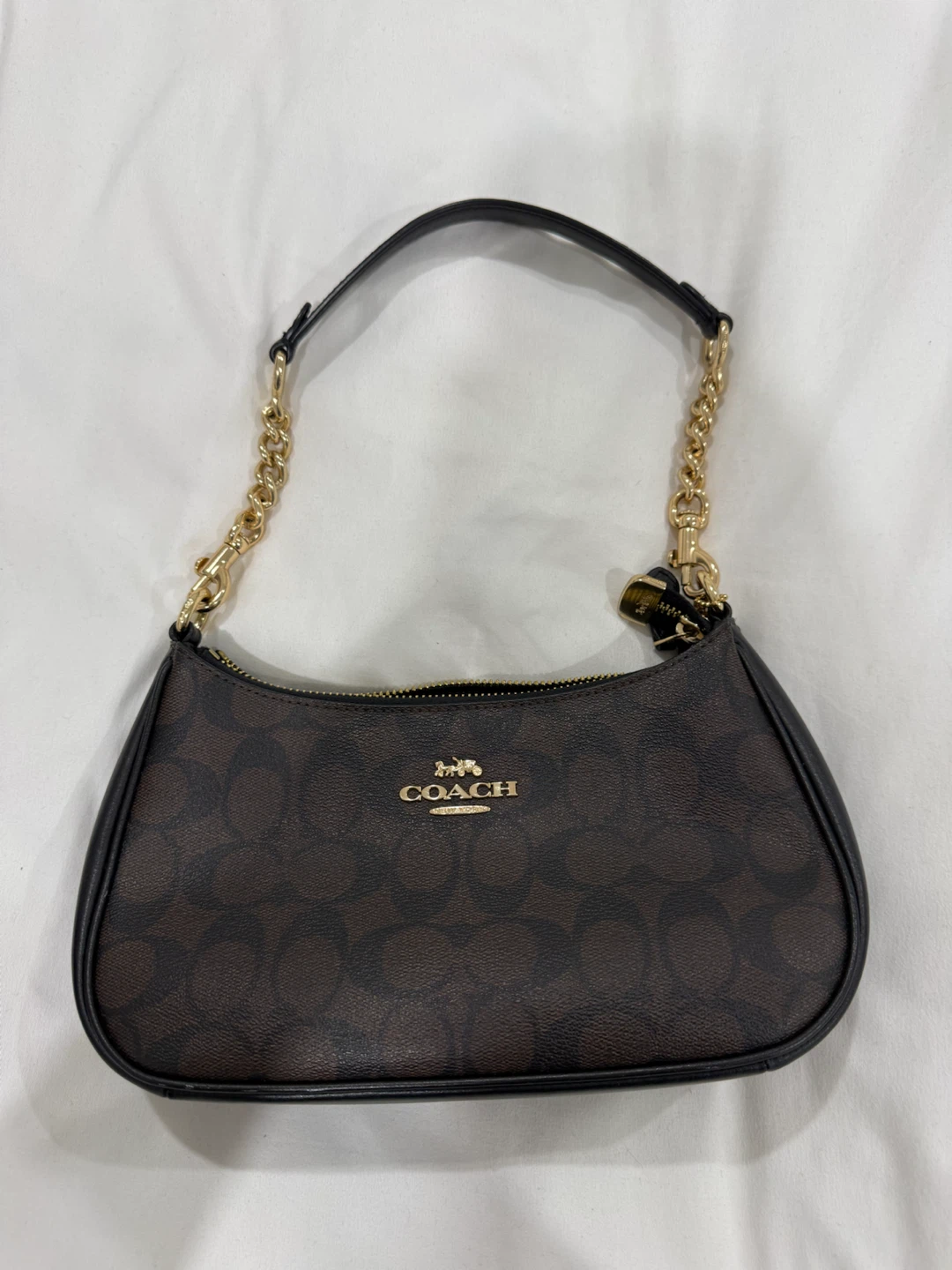 Coach Signature Monogram Mini Bag