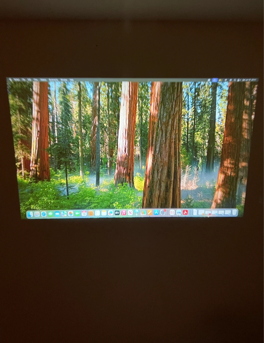 DRJ Mini Projector with 100” Screen - photo 2